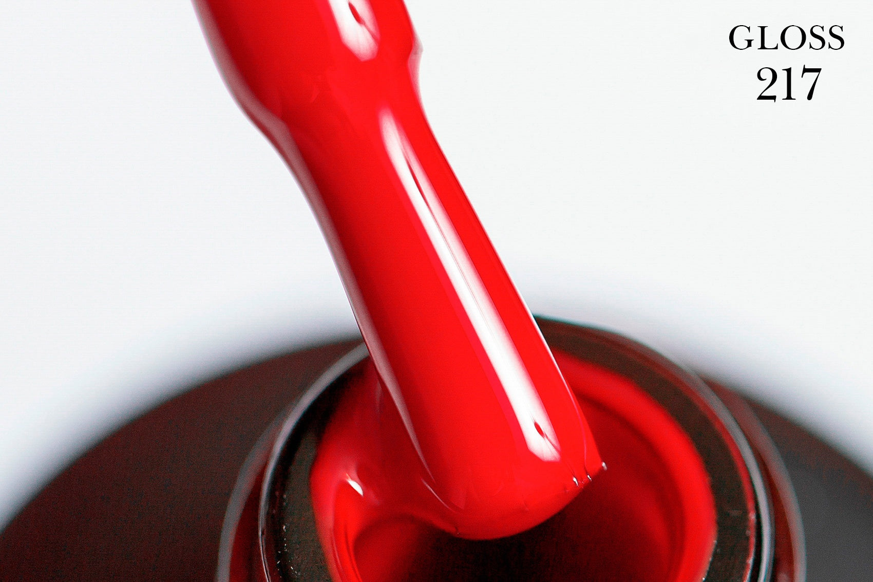 Red & Wine Collection